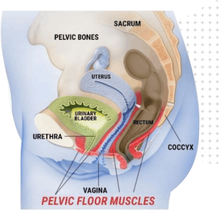 Common causes and symptoms of incontinence