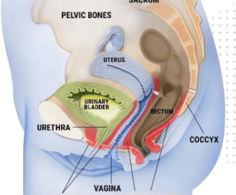 Kegel exercise basics for men